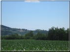 foto Colline tra Fonte Alto e Paderno del Grappa